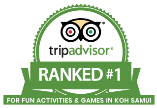 Tripadvisor badge